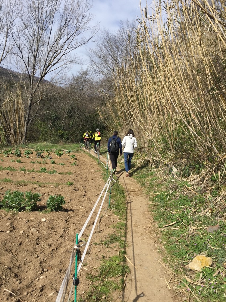 A path to La Garrotxa