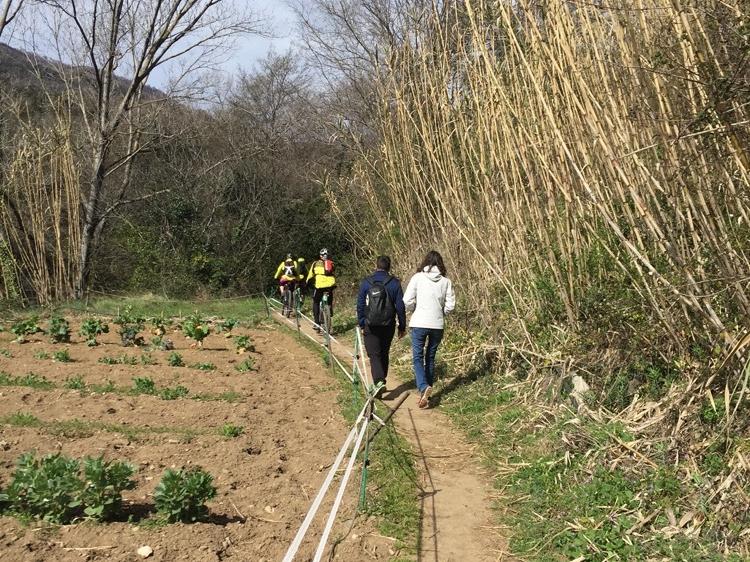 A path to La Garrotxa