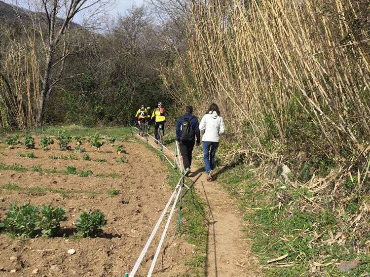 path in Garrotxa